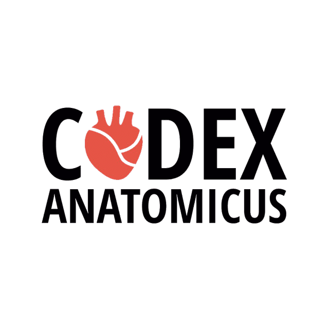 Logo for CODEX
