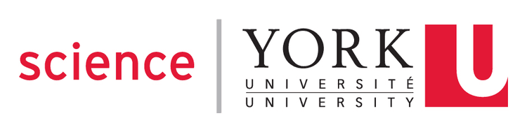 Logo for YorkU