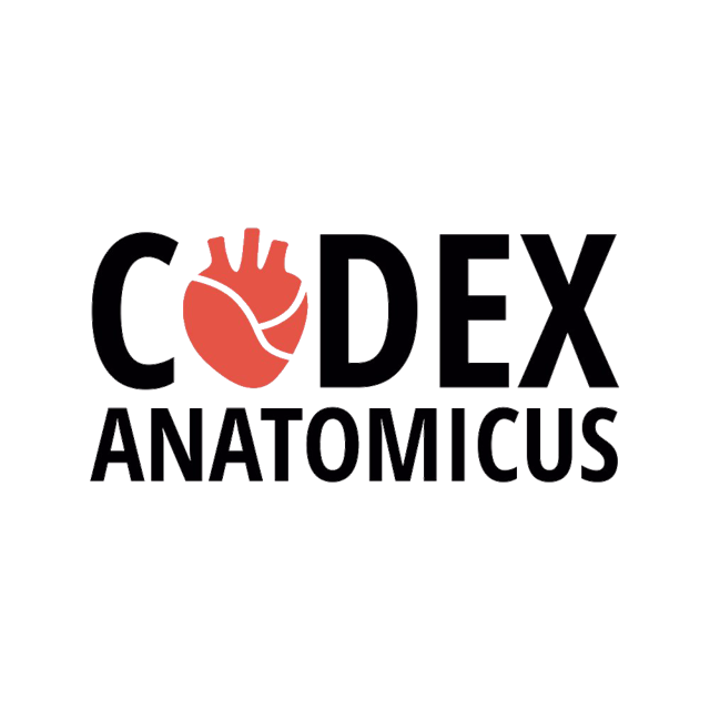 Logo for CODEX