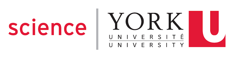 Logo for YorkU